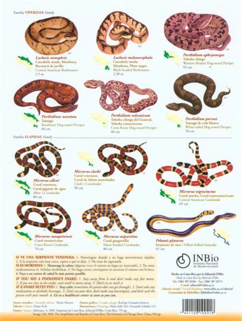costa rica snakes list